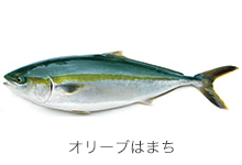 県魚